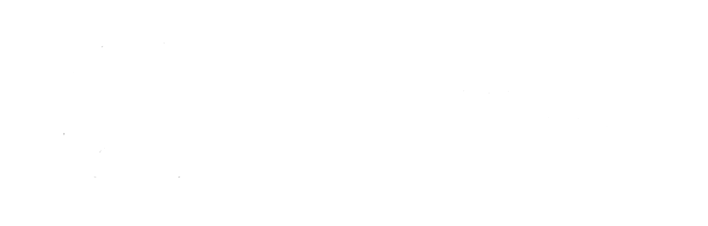 LanGroup